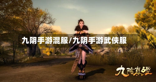 九阴手游混服/九阴手游武侠服-第3张图片