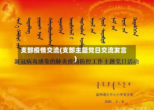 支部疫情交流(支部主题党日交流发言)-第2张图片