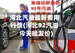 河北汽油最新费用行情(河北92汽油今天批发价)