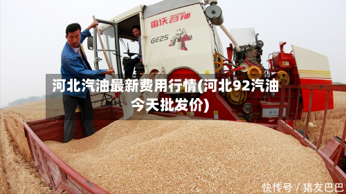 河北汽油最新费用行情(河北92汽油今天批发价)-第3张图片