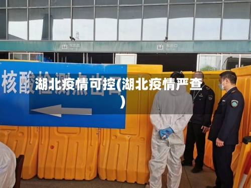 湖北疫情可控(湖北疫情严查)-第3张图片