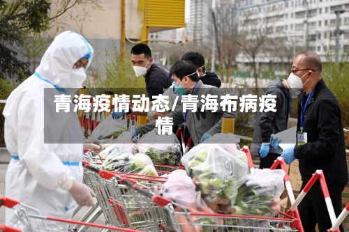 青海疫情动态/青海布病疫情-第3张图片