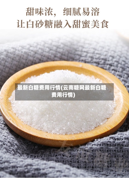 最新白糖费用行情(云南糖网最新白糖费用行情)