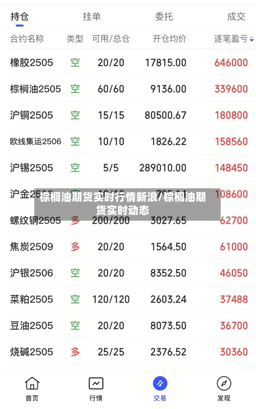 棕榈油期货实时行情新浪/棕榈油期货实时动态-第2张图片