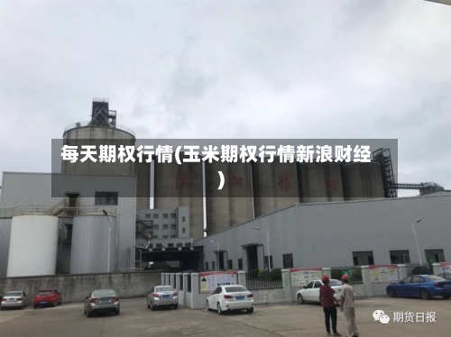 每天期权行情(玉米期权行情新浪财经)-第2张图片