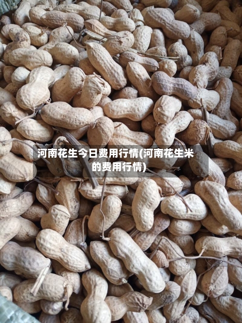 河南花生今日费用行情(河南花生米的费用行情)-第2张图片