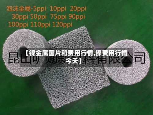 【镍金属图片和费用行情,镍费用行情今天】-第2张图片