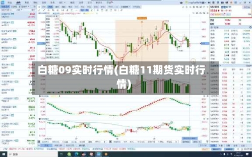 白糖09实时行情(白糖11期货实时行情)-第3张图片