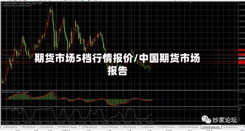 期货市场5档行情报价/中国期货市场报告