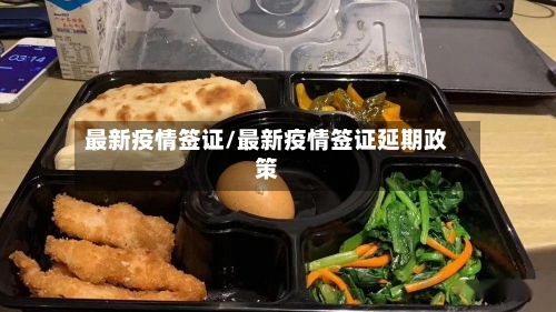 最新疫情签证/最新疫情签证延期政策-第2张图片