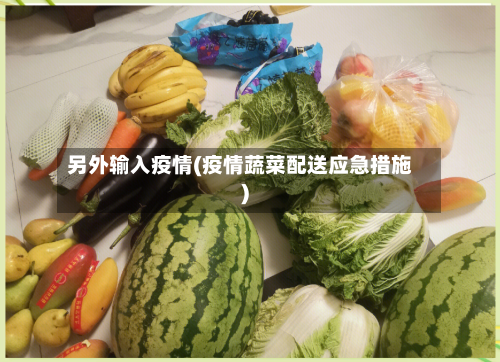 另外输入疫情(疫情蔬菜配送应急措施)
