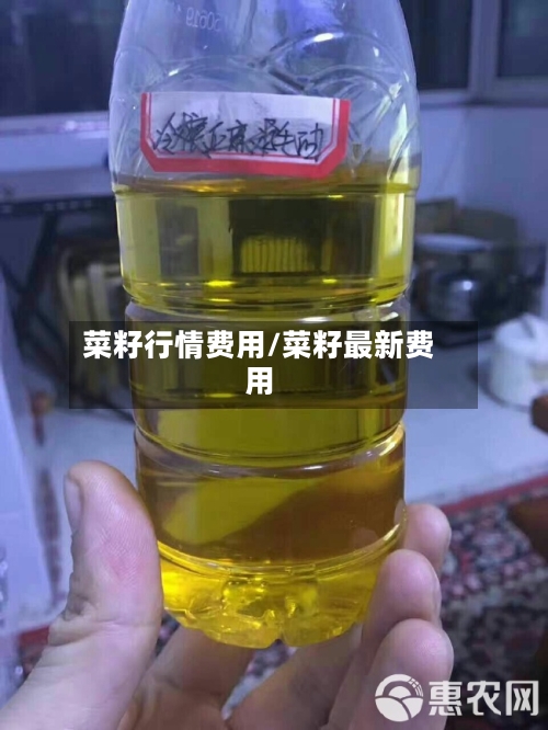 菜籽行情费用/菜籽最新费用