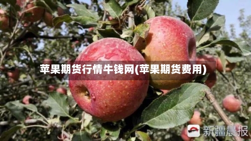 苹果期货行情牛钱网(苹果期货费用)