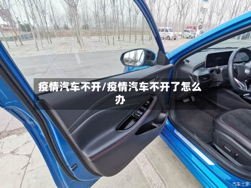 疫情汽车不开/疫情汽车不开了怎么办-第2张图片