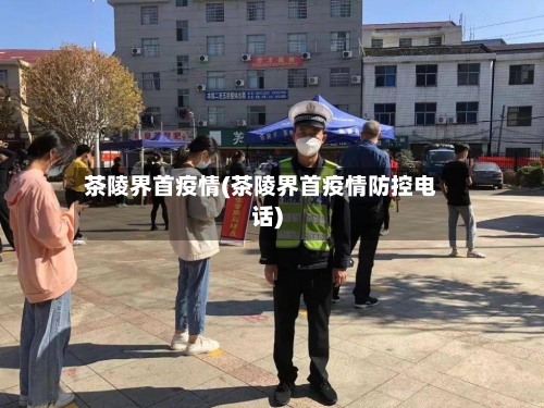 茶陵界首疫情(茶陵界首疫情防控电话)-第3张图片