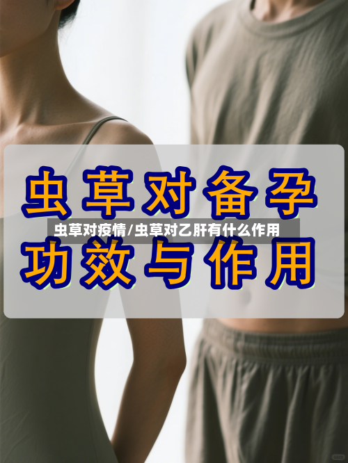 虫草对疫情/虫草对乙肝有什么作用