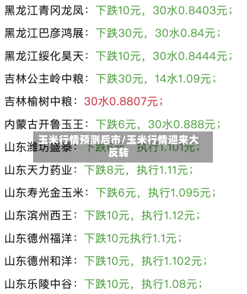 玉米行情预测后市/玉米行情迎来大反转-第3张图片