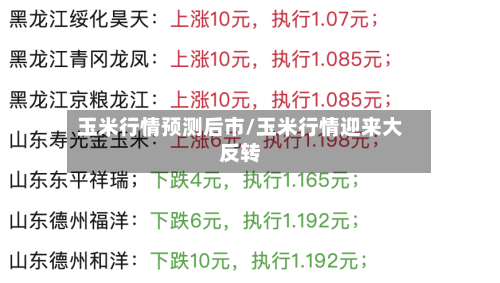 玉米行情预测后市/玉米行情迎来大反转