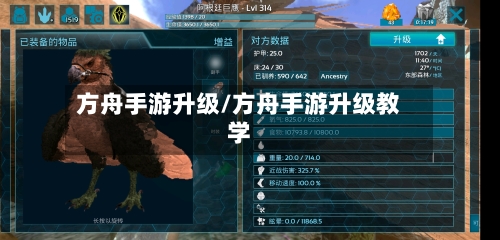 方舟手游升级/方舟手游升级教学