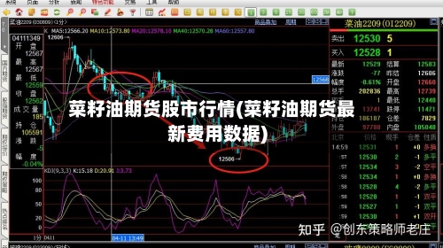 菜籽油期货股市行情(菜籽油期货最新费用数据)