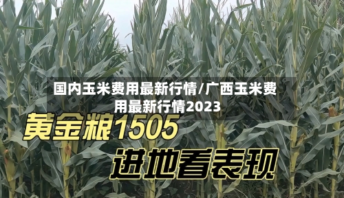 国内玉米费用最新行情/广西玉米费用最新行情2023-第2张图片