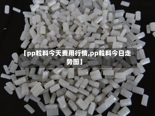 【pp粒料今天费用行情,pp粒料今日走势图】-第2张图片