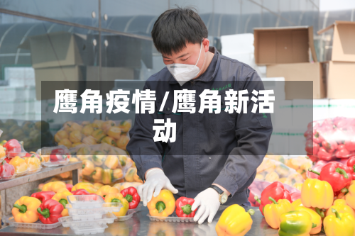鹰角疫情/鹰角新活动