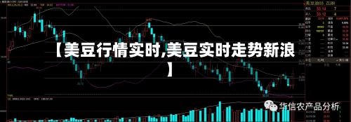 【美豆行情实时,美豆实时走势新浪】-第3张图片
