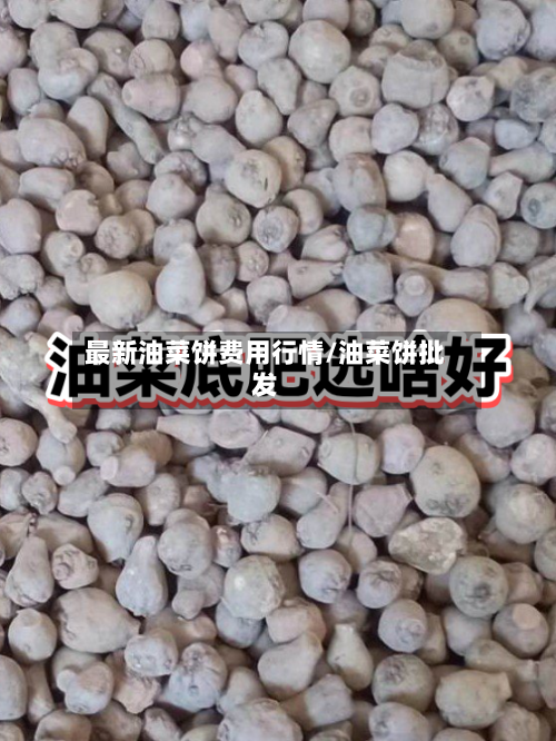 最新油菜饼费用行情/油菜饼批发-第3张图片