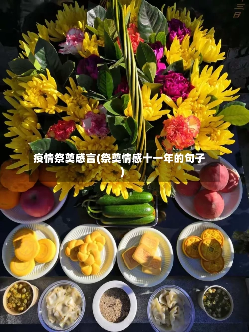 疫情祭奠感言(祭奠情感十一年的句子)