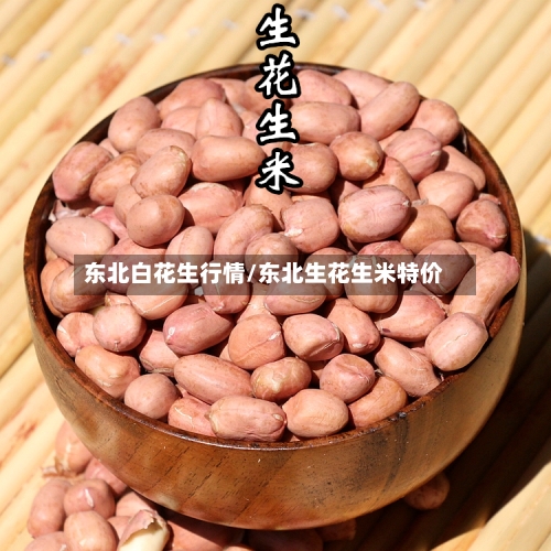 东北白花生行情/东北生花生米特价-第3张图片