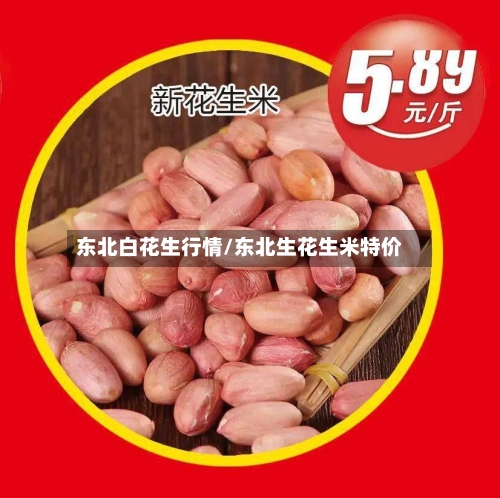 东北白花生行情/东北生花生米特价