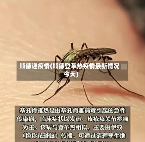 顺德迎疫情(顺德登革热疫情最新情况今天)-第3张图片
