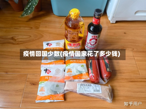 疫情回国少数(疫情国家花了多少钱)-第3张图片