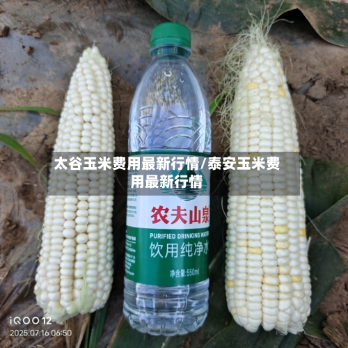太谷玉米费用最新行情/泰安玉米费用最新行情-第3张图片
