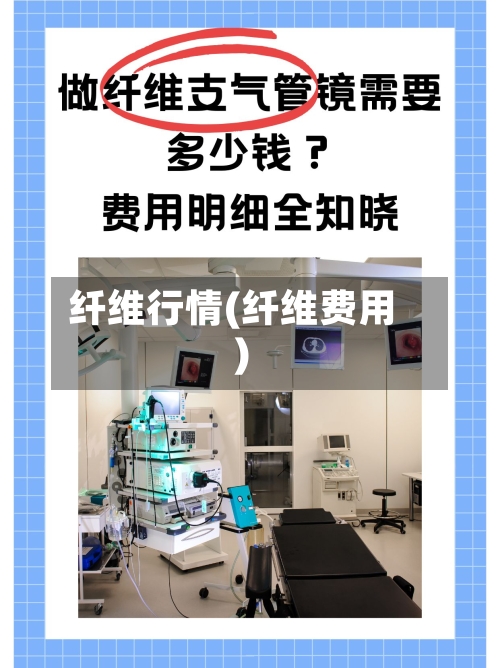 纤维行情(纤维费用)