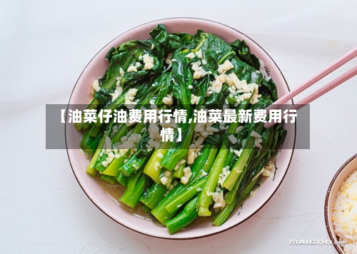 【油菜仔油费用行情,油菜最新费用行情】-第2张图片