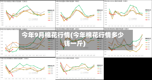 今年9月棉花行情(今年棉花行情多少钱一斤)-第3张图片