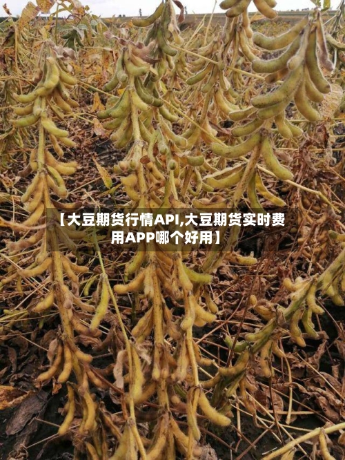 【大豆期货行情API,大豆期货实时费用APP哪个好用】-第3张图片