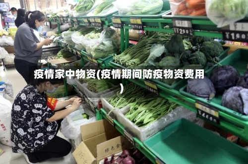 疫情家中物资(疫情期间防疫物资费用)