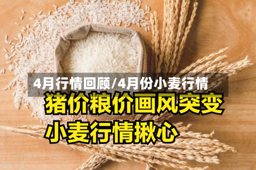 4月行情回顾/4月份小麦行情-第2张图片