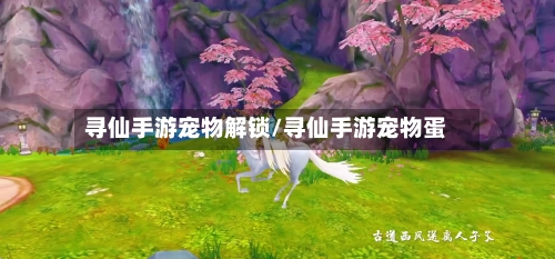 寻仙手游宠物解锁/寻仙手游宠物蛋-第2张图片