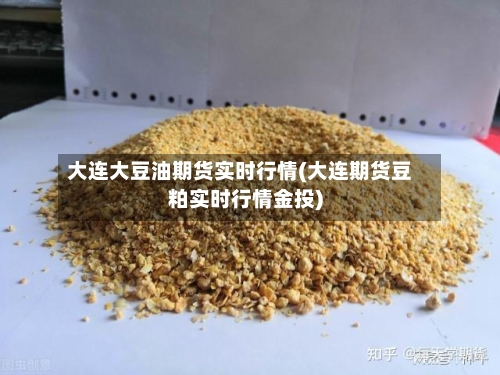 大连大豆油期货实时行情(大连期货豆粕实时行情金投)