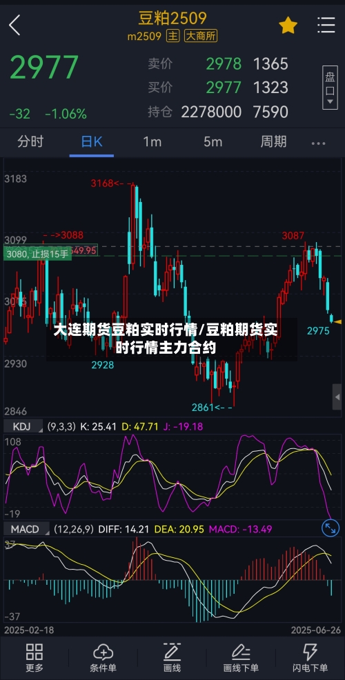 大连期货豆粕实时行情/豆粕期货实时行情主力合约