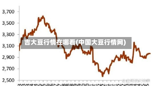 吉大豆行情在哪看(中国大豆行情网)-第2张图片