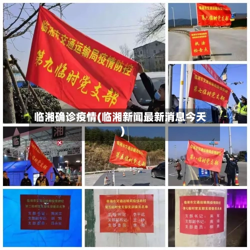 临湘确诊疫情(临湘新闻最新消息今天)-第2张图片