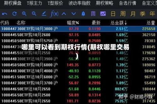 哪里可以看到期权行情(期权哪里交易)