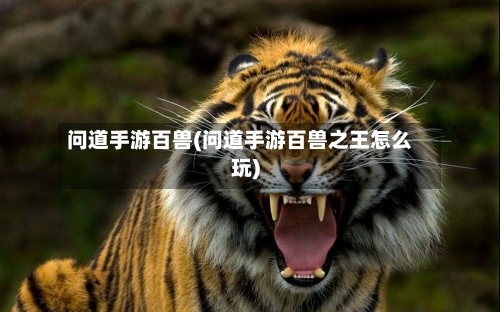 问道手游百兽(问道手游百兽之王怎么玩)