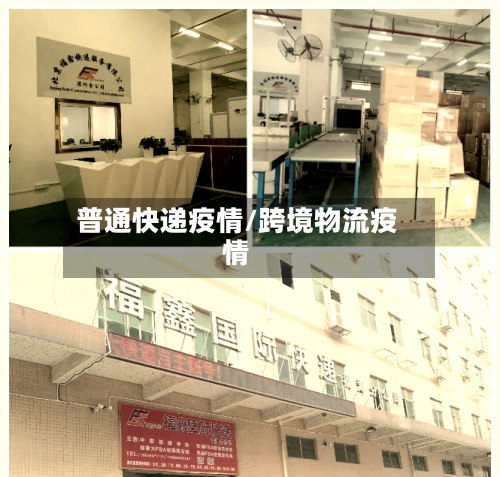 普通快递疫情/跨境物流疫情-第2张图片