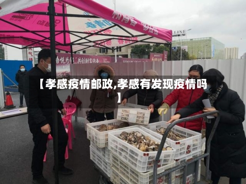 【孝感疫情邮政,孝感有发现疫情吗】